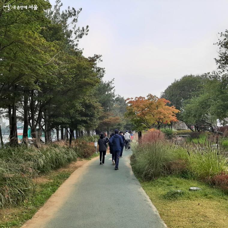 일자산 잔디광장으로 향하는 시민들의 발걸음이 바쁘다.