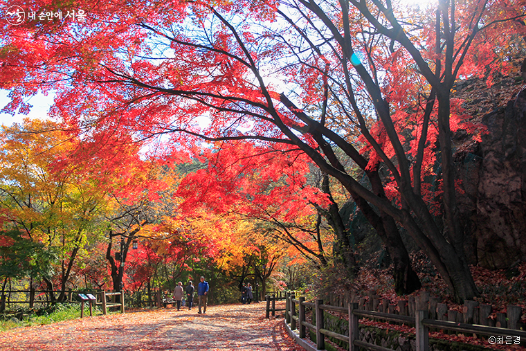 서울시는 남산의 가을을 알차게 즐길 수 있도록 ‘남산둘레길 가을소풍’을 운영한다.