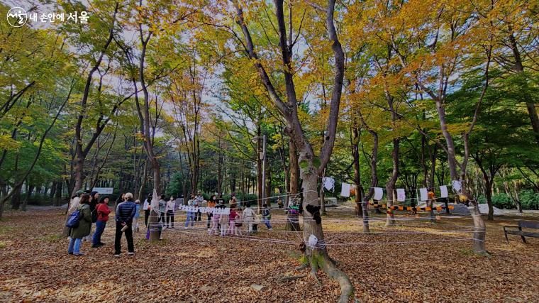 매헌시민의숲에서 아이들이 즐겁게 뛰놀고 있다.