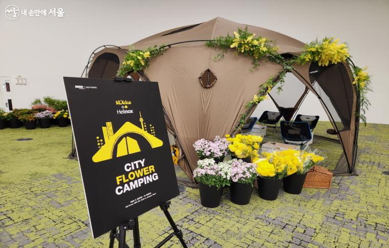 <헬리녹스x꾸까 CITY FLOWER CAMPING>은 DDP 디자인랩 D-숲에서 진행된다. ⓒ조수연