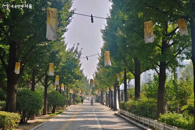  가로수길에 가을 문화 축제 '한성백제문화제'를 알리는 등이 수 놓아져 있었다.