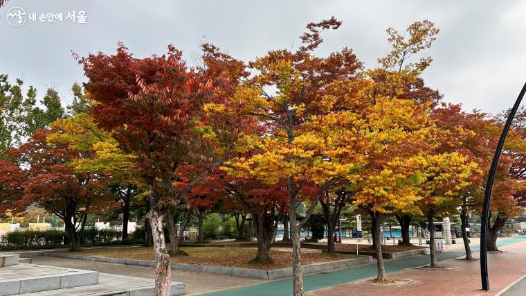 단풍나무가 아름다운 올림픽공원 남문. 송파둘레길은 송파구의 여러 명소와 연결되어 있다.