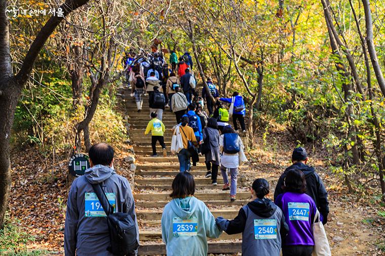 서울트레킹 참가자들이 일자산 계단을 오르는 모습