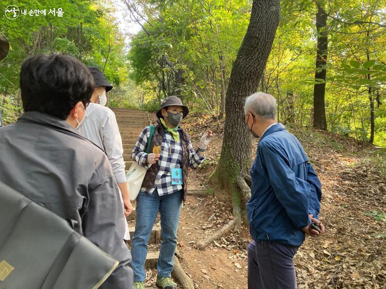 숲을 오르는 중간중간 숲해설사의 숲에 대한 이야기를 들을 수 있다. 