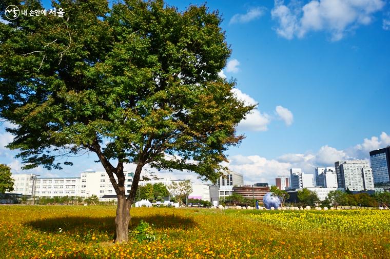 큰 나무와 꽃들이 어울려 도심에서 보기 힘든 목가적인 풍경을 이룬다 ⓒ이정규