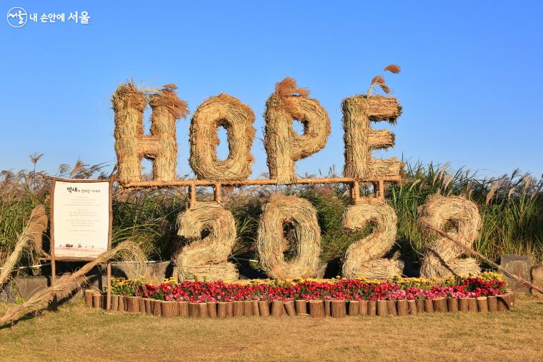 억새로 만든 HOPE 2022 조형물