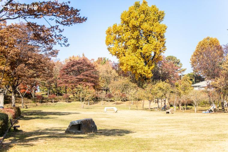 잔디광장 외에도 피크닉이나 가벼운 운동을 즐길 수 있는 공간들이 많다 ⓒ임중빈