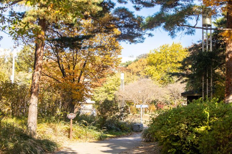 국립중앙박물관 야외전시장에서 시작되는 산책로를 따라 용산가족공원으로 이동할 수 있다 ⓒ임중빈