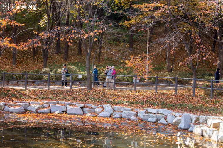 옛 주한미군사령부의 골프장에 있던 연못을 그대로 보존하여 활용하고 있다 ⓒ임중빈