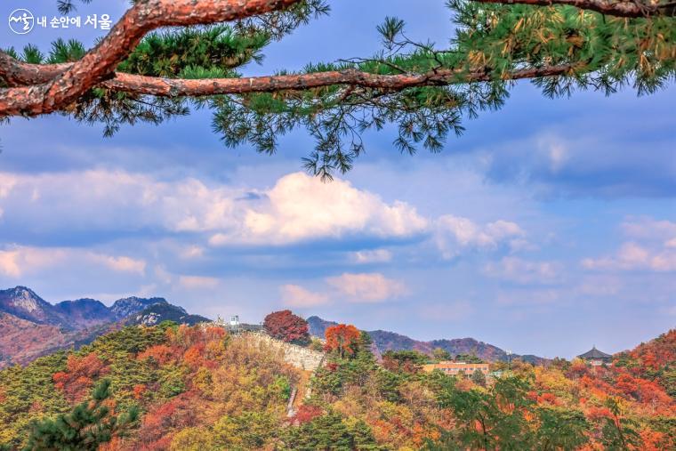 서울에서 즐길 수 있는 가을 단풍