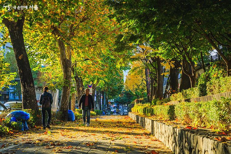 광나루로 어린이회관을 향해 걷는 단풍길은 가을과 여름 사이를 걷는 듯 초록과 노랑잎이 어우러져 있다.