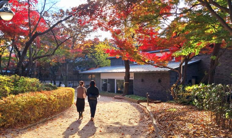 삼청공원 숲속도서관 가는 길 ⓒ이선미