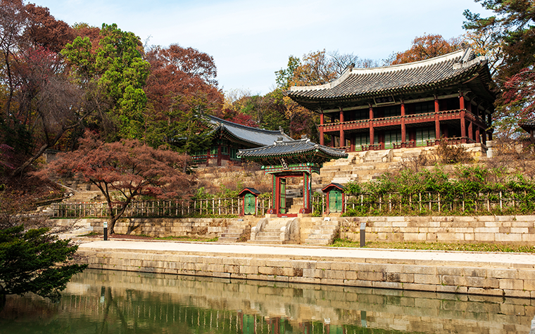 가을 고궁 산책…정조가 직접 꼽은 '창덕궁 후원' 10경은?