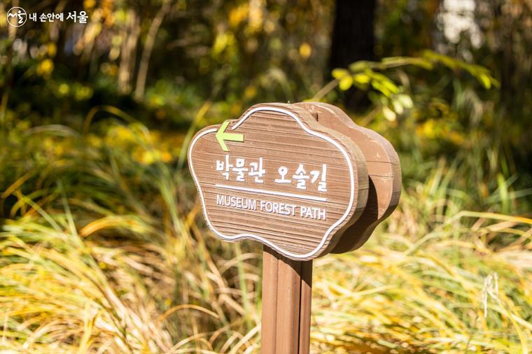 국립한글박물관과 국립중앙박물관을 연결하는 '박물관 오솔길'도 가을 나들이에 제격이다 ⓒ임중빈