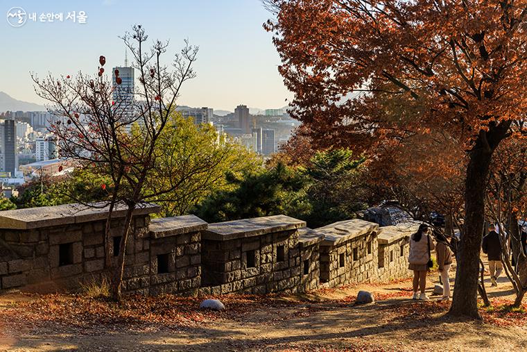 낙산 정상에 오르며 늦가을 단풍을 즐기는 시민들의 모습  