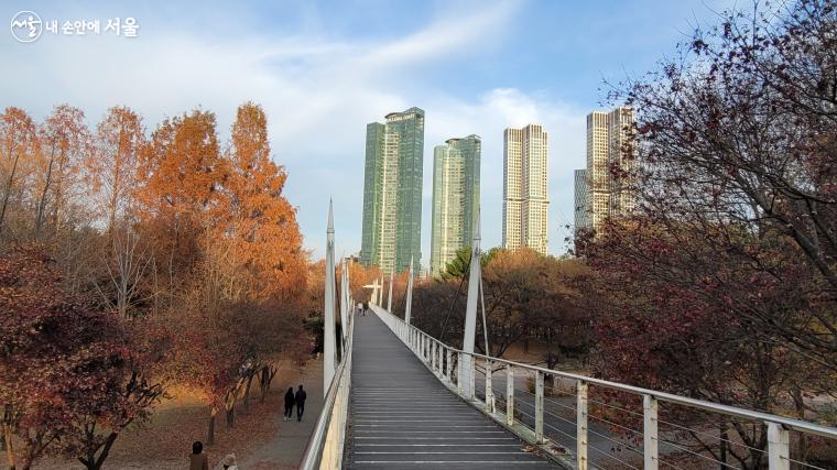보행가교는 서울숲과 한강을 잇는 구름다리이다.