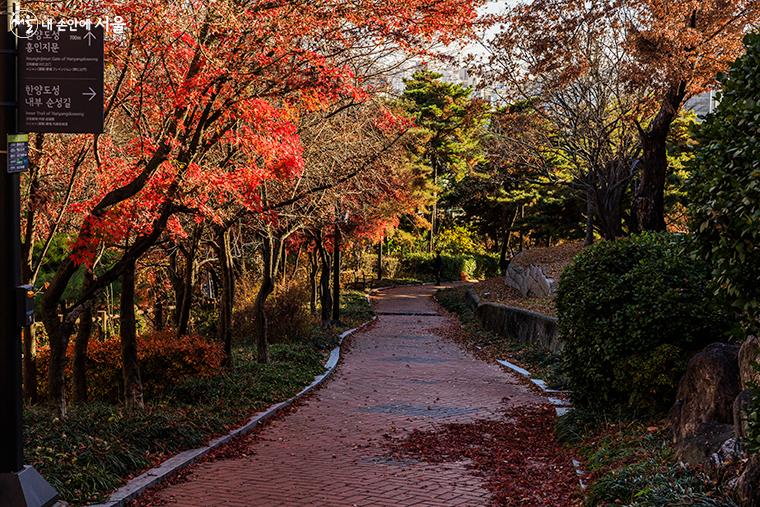 암문을 통해 들어선 공원에서 만난 단풍이 늦가을의 아름다움을 뽐내고 있다. 