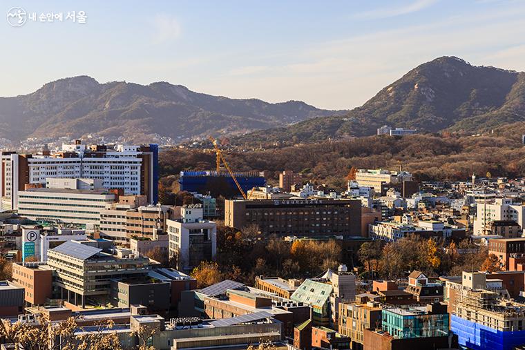 낙산 정상에 올라 한눈에 바라본 서울 풍경