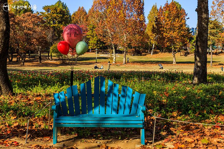 한번쯤 앉아서 쉬어가고 싶게 만드는 편안한 의자도 가을 분위기와 어우러져 멋진 풍경을 만든다.