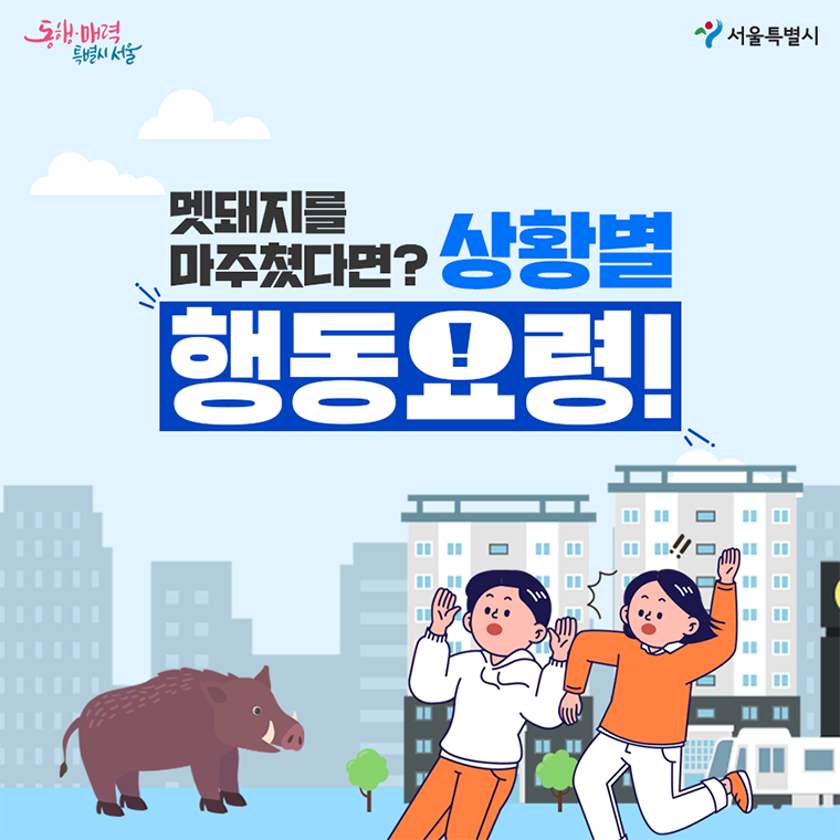 #멧돼지를 마주쳤다면? 상황별 행동요령!