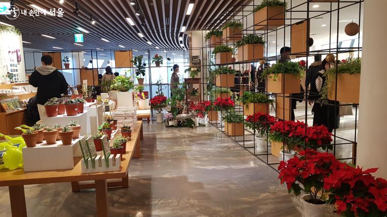 식물문화센터 1층에 있는 기념품 숍, 연말연시의 축제 분위기를 띠고 있다 