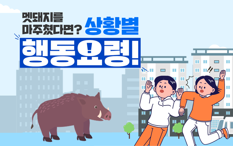 서울 도심에 야생 멧돼지 출몰…마주치면 이렇게 하세요!