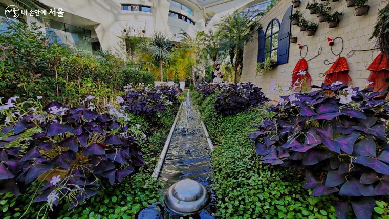 다양한 식물로 풍성한 서울식물원 온실 모습