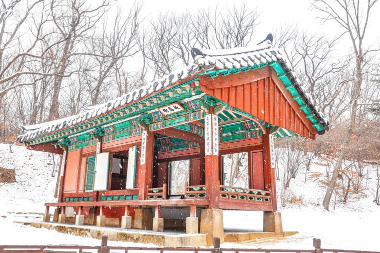 서쪽 언덕 위에 위치한 길쭉한 맞배지붕의 폄우사(砭愚榭) 전경