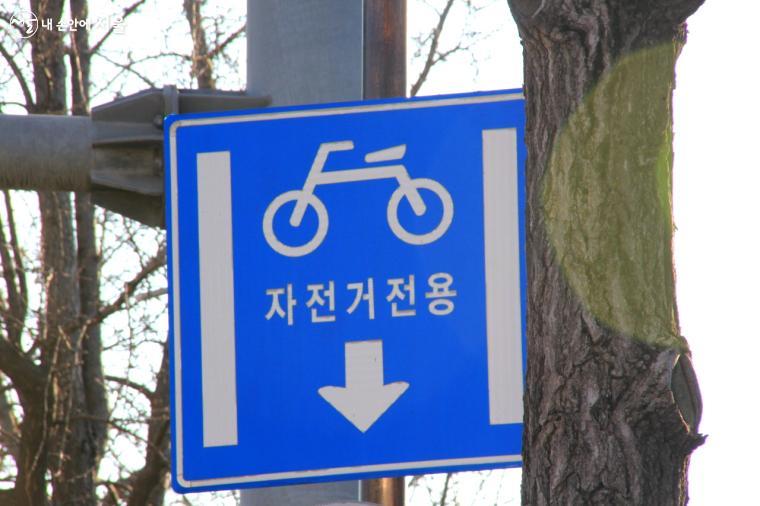 자전거는 자전거전용도로 또는 차도 우측 가장자리로 통행해야 한다.