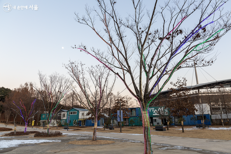 문화비축기지에 들어서니 조명을 입은 나무 너머로 실제 달이 떠있다.