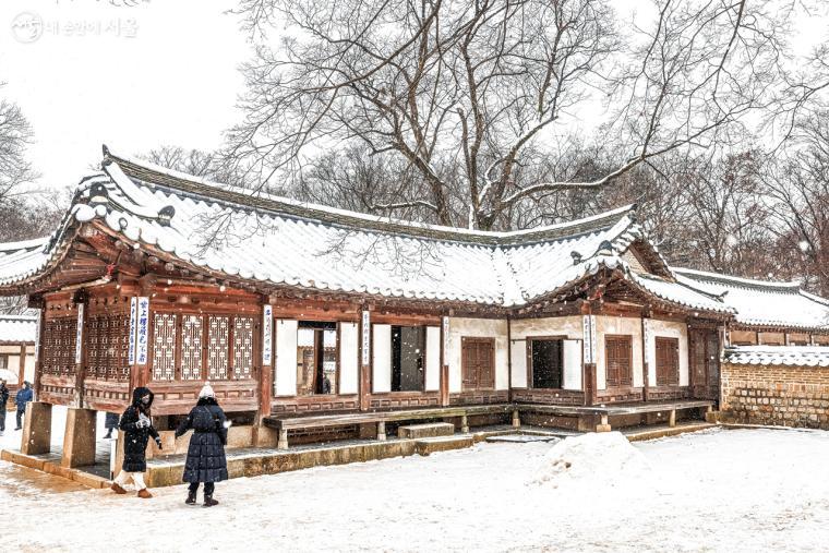 창덕궁 후원 설경을 즐기고 있는 시민들