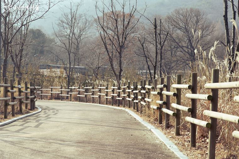 '점프 프로젝트’ 야외 전시를 보고 서울대공원을 산책했다.