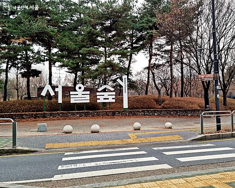 서울숲에서는 겨울 방학을 맞은 아이들을 위한 다양한 프로그램을 진행하고 있다.