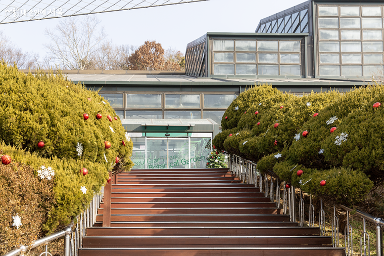 '겨울정원' 전시가 열리고 있는 서울대공원 식물원 