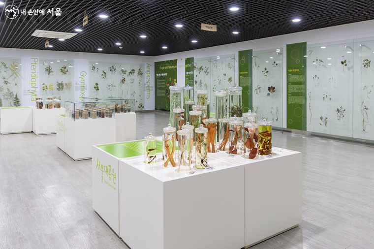 서울대공원 식물원 식물표본전시관 1층에 식물생태교육을 위한 전문시설인 식물표본전시관이 있다. 식물표본전시실에는 식물표본, 액침표본, 식물종자 등 총 275점이 전시되어 있다.
