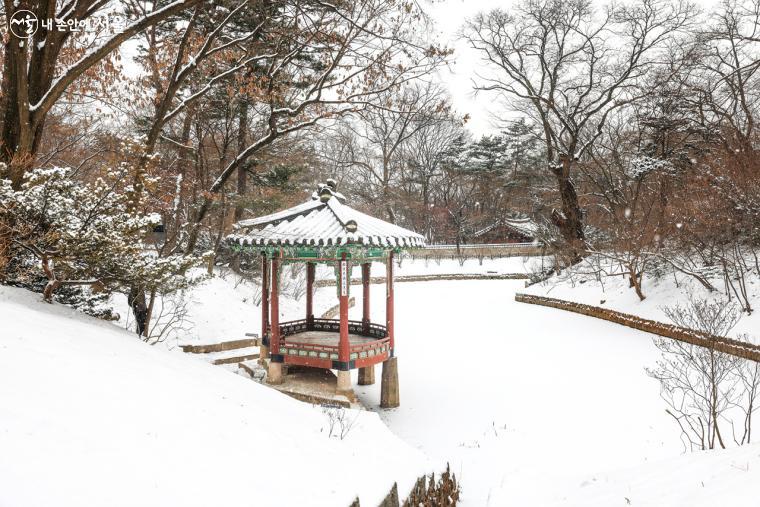 연못 '관람지' 옆에 있는 '관람정' 전경