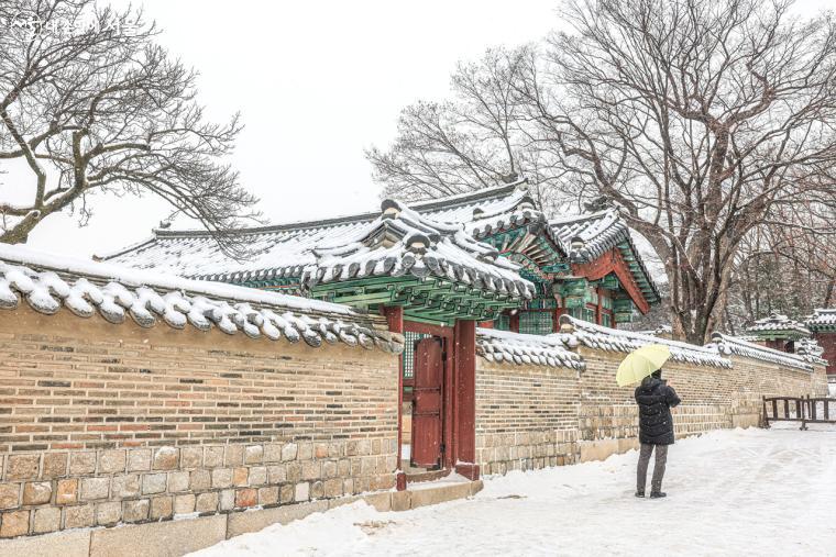 성정각 일원에서 창경궁과 경계를 이루는 담을 따라 올라가면 후원으로 이어진다.