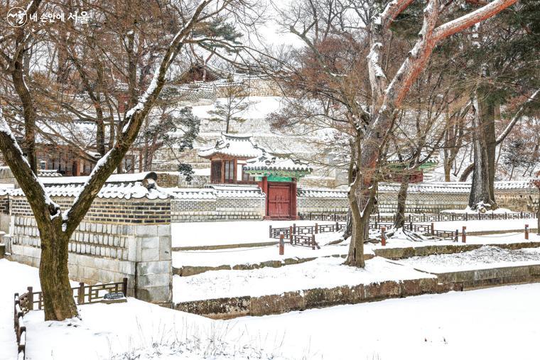 눈 내린 창덕궁 후원은 어느 곳에서 바라봐도 멋진 설경이 펼쳐져 있다. 