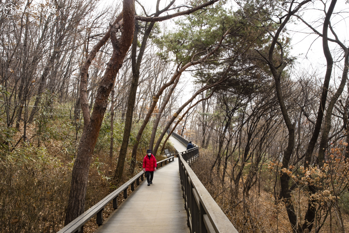 '용왕산 숲이좋은길'은 무장애 데크길로 휠체어로도 무리 없이 산책할 수 있다. ⓒ노인수