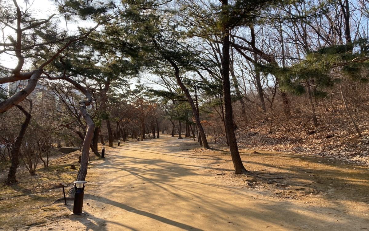 매표소를 표를 발권하고 들어가니 걷기 좋은 평지가 나온다. 신록과 꽃이 만개하는 봄이 기다려진다. ©전주영