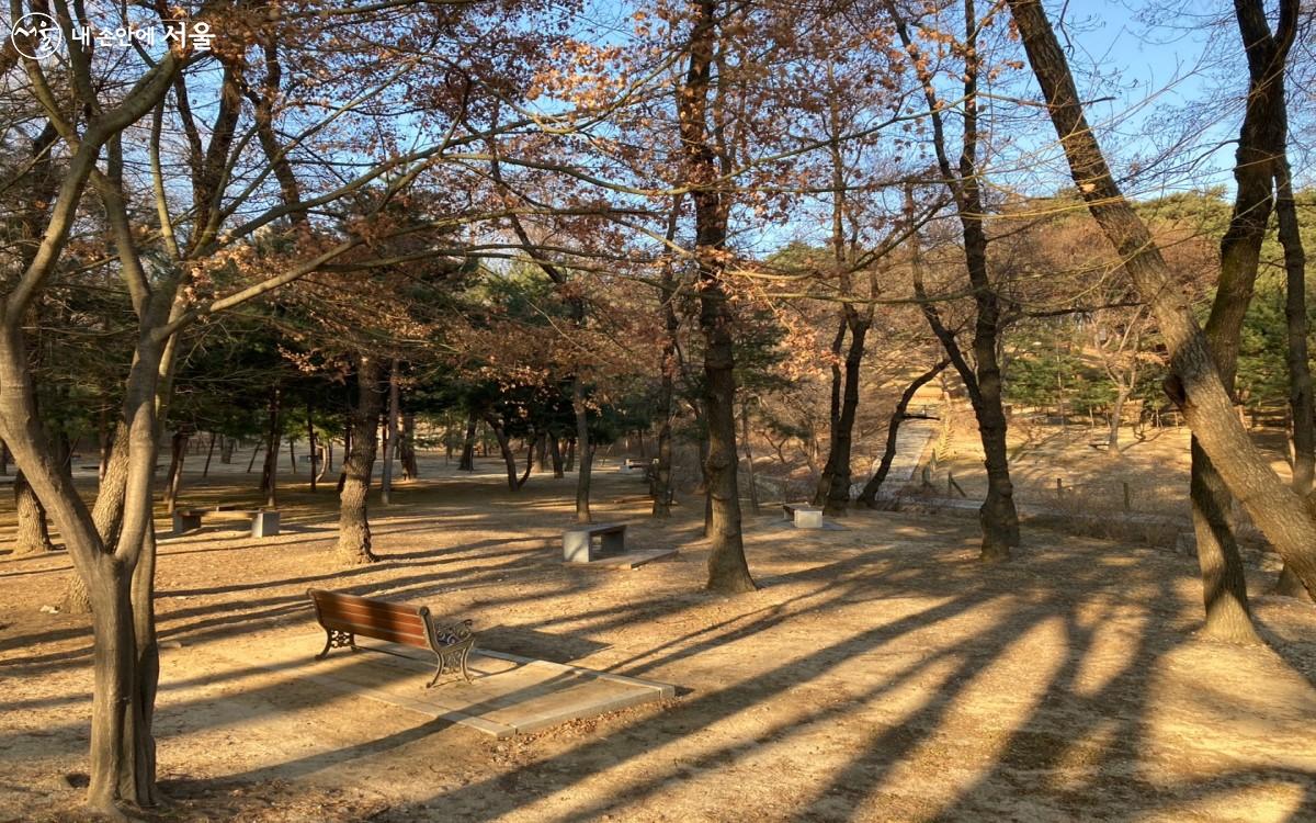 성종대왕릉으로 가는 곳곳에 벤치가 있어 잠시 쉬어가기 좋다. ©전주영