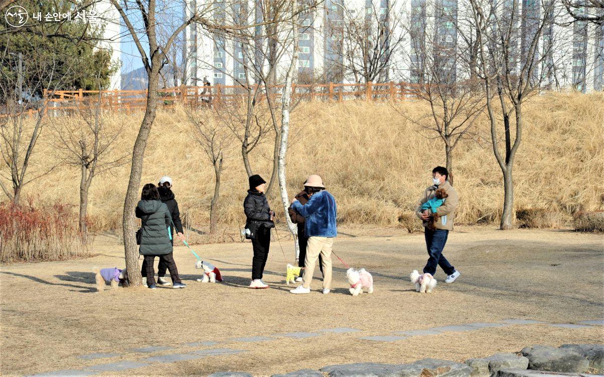 운동 나온 주민들과 반려견들 ⓒ조수봉