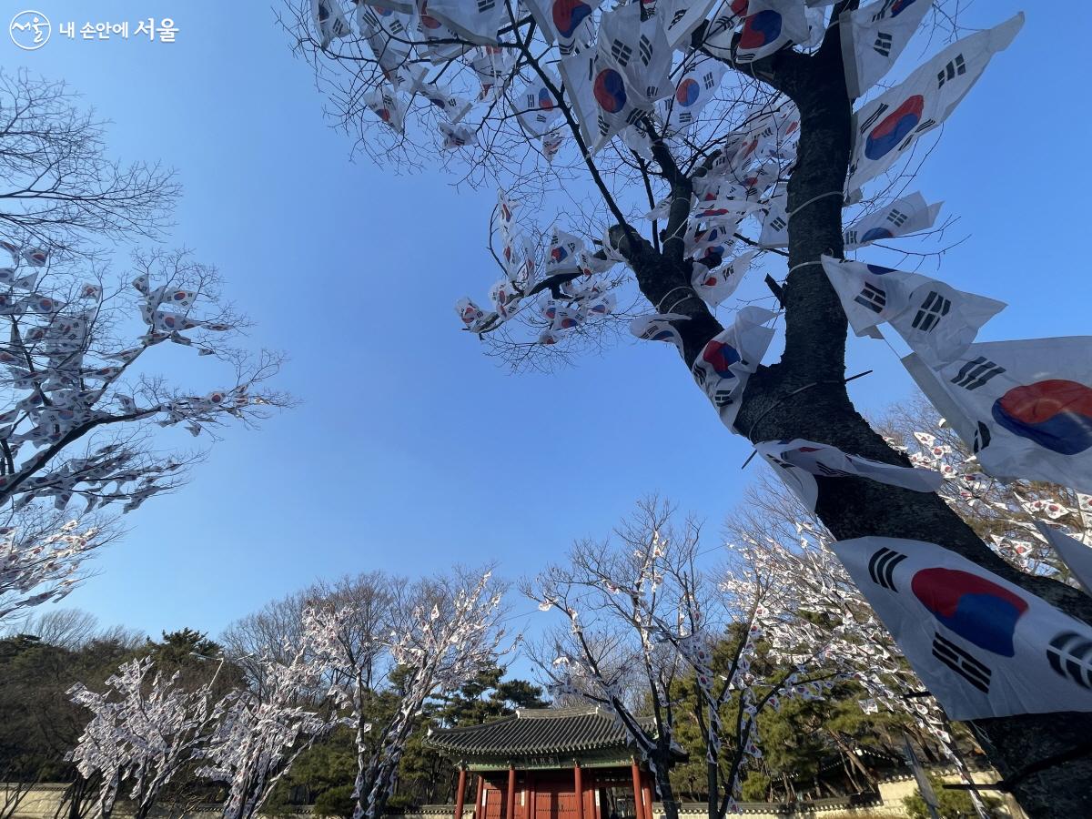 효창공원 밖은 가로수에 태극기를 달아 태극기 거리로 단장했다. ⓒ이정민 