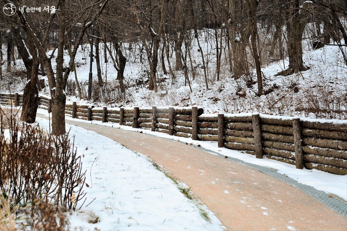 산책하며 운동하기 편리하게 조성된 산책길, 어느새 눈을 다 치워두었다. ©이봉덕