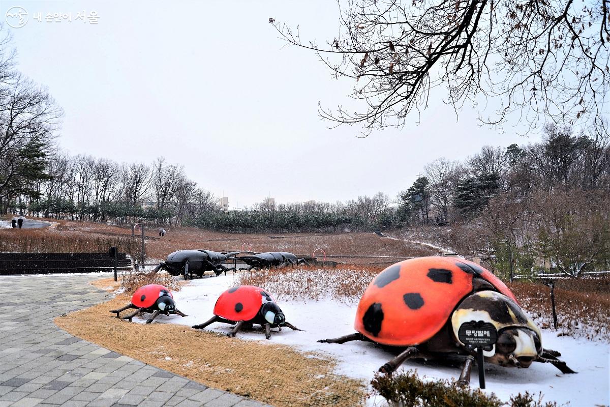 야외 곤충들도 하얀 눈을 맞으며 눈 밭에서 노닐고 있다. ©이봉덕