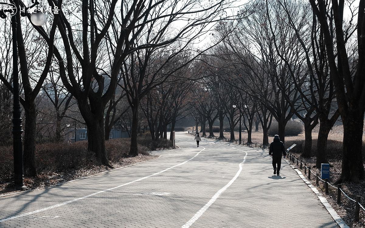 올림픽공원 산책로를 따라 걷는 시민들 ⓒ김아름