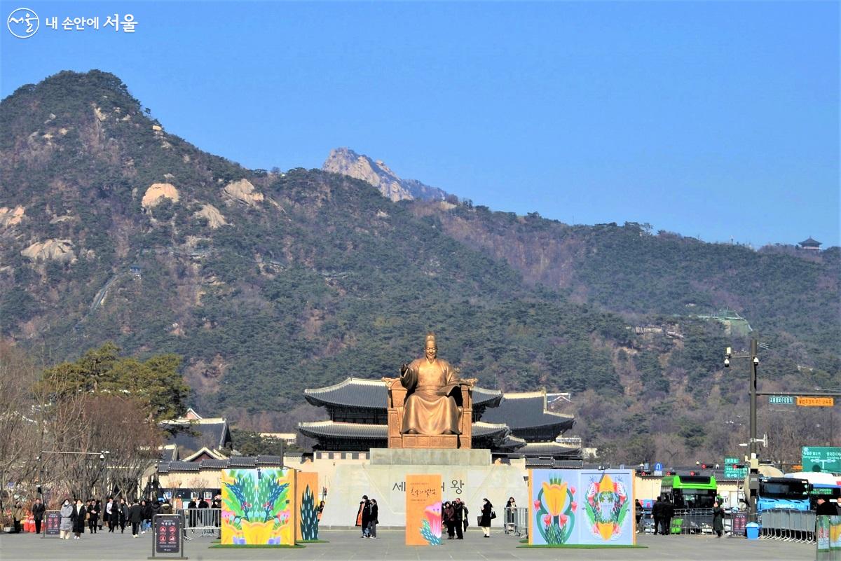 북악산과 광화문을 배경으로 세종대왕 동상 앞 광화문광장에 전시가 열리고 있다. ⓒ이봉덕