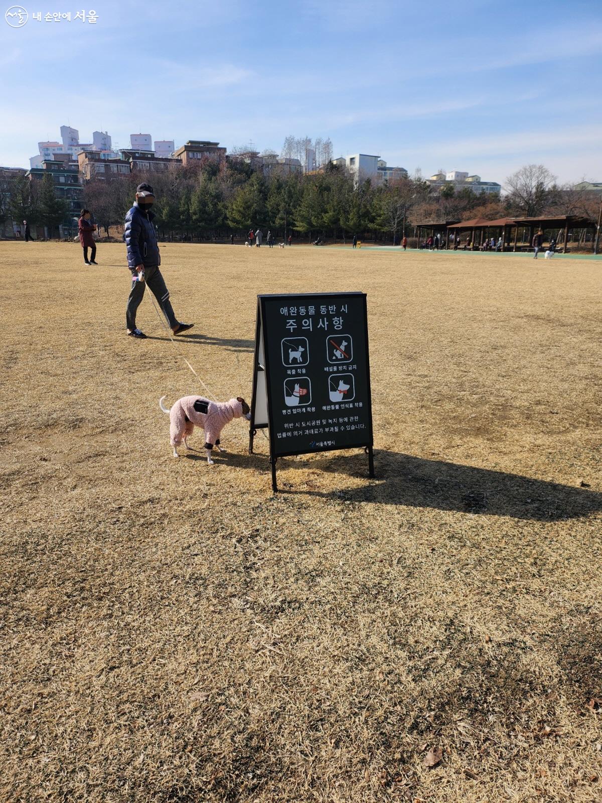 잔디광장에서는 아이들뿐만 아니라 반려동물들도 즐겁게 산책을 즐긴다.