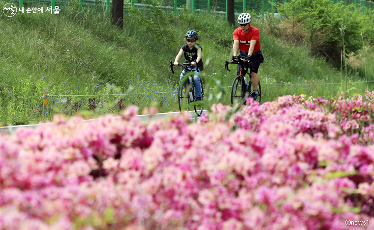서울시는 누구나 안전하게 이용할 수 있도록 한강공원의 자전거도로를 순차적으로 개선한다. 