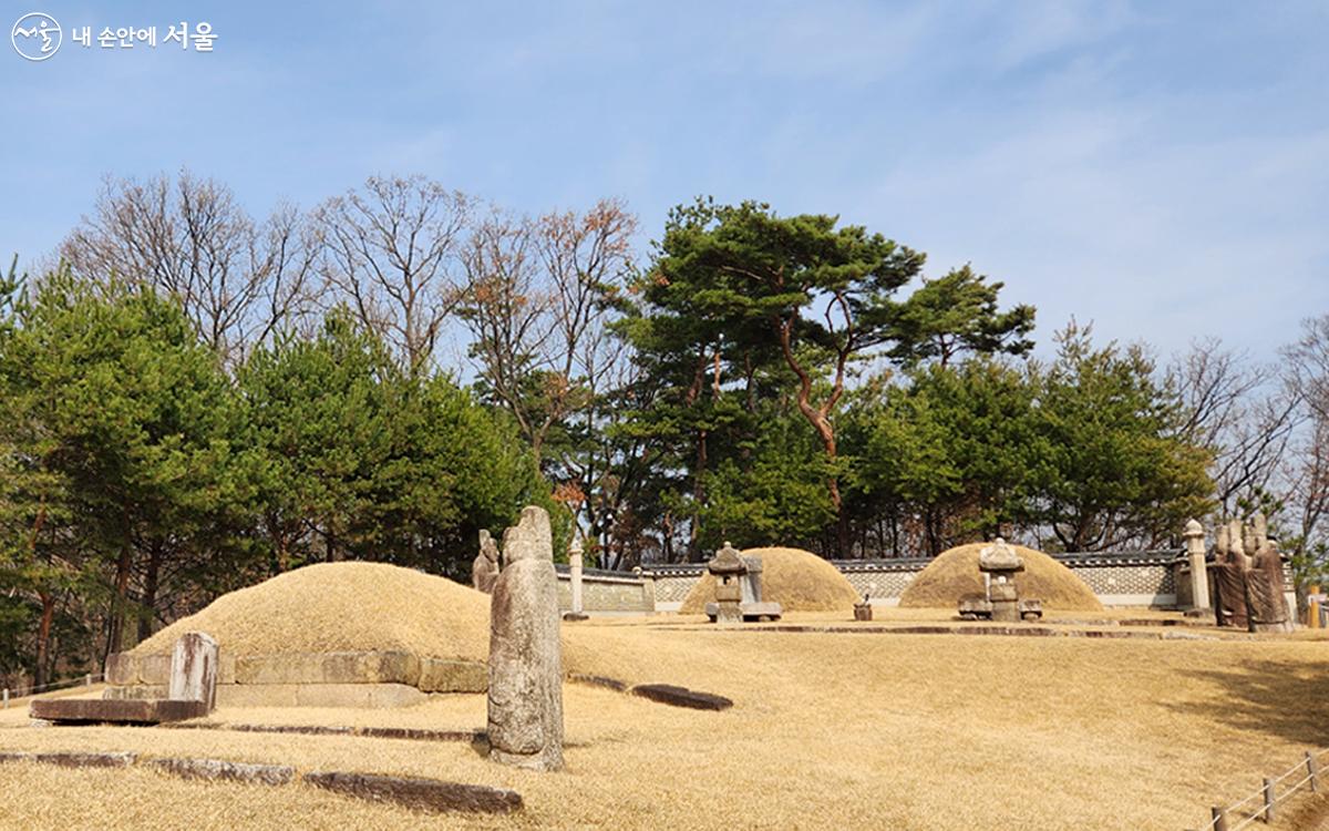 왼쪽부터 의정궁주묘(좌측), 연산군(맨 위 좌측)과 거창군부인묘(맨 위 우측)에도 방문했다.